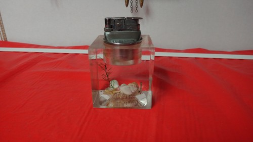 Vtg lucite ocean seashell - lucite=,